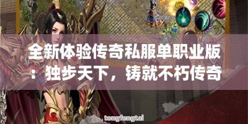 全新体验传奇私服单职业版：独步天下，铸就不朽传奇！