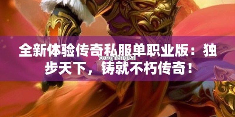 全新体验传奇私服单职业版：独步天下，铸就不朽传奇！