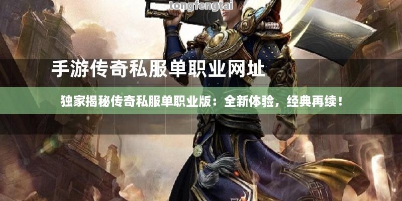 独家揭秘传奇私服单职业版：全新体验，经典再续！