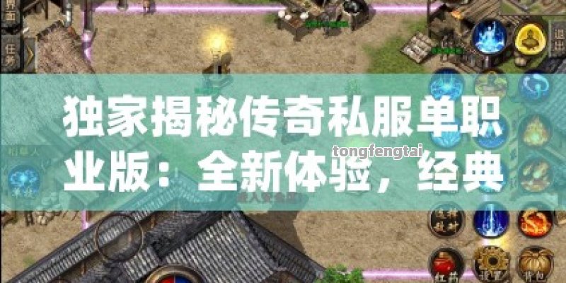 独家揭秘传奇私服单职业版：全新体验，经典再续！