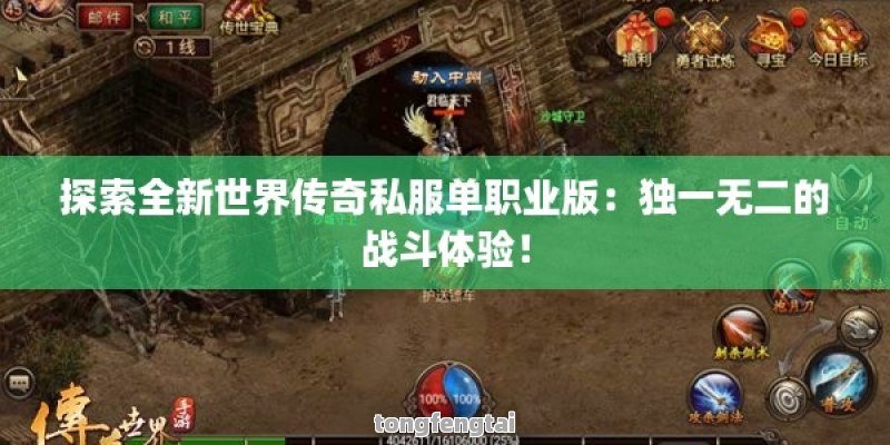 探索全新世界传奇私服单职业版：独一无二的战斗体验！