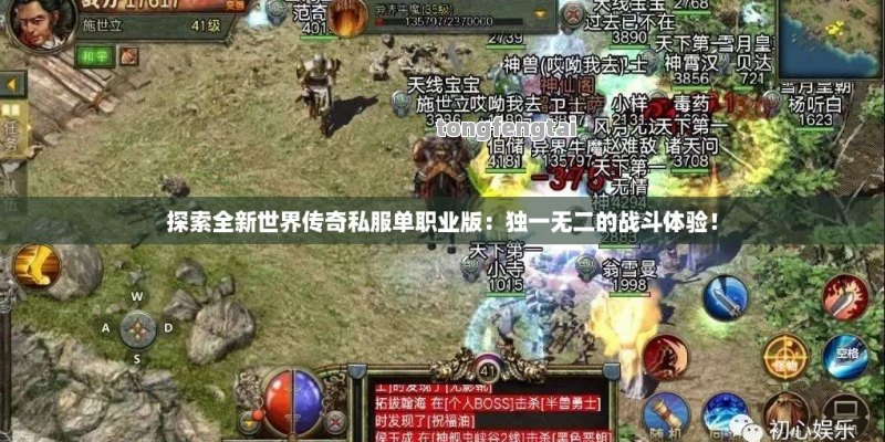 探索全新世界传奇私服单职业版：独一无二的战斗体验！